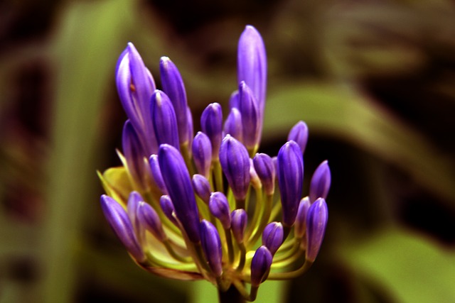 员杨瀚森的 员杨瀚森的