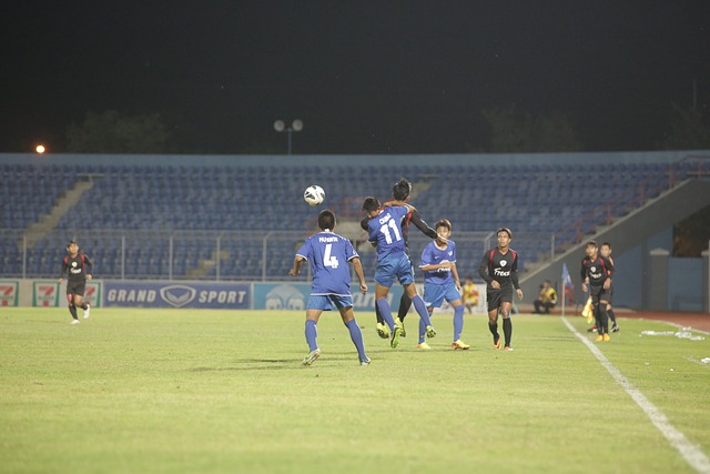 桃花的芬芳 桃花的芬芳