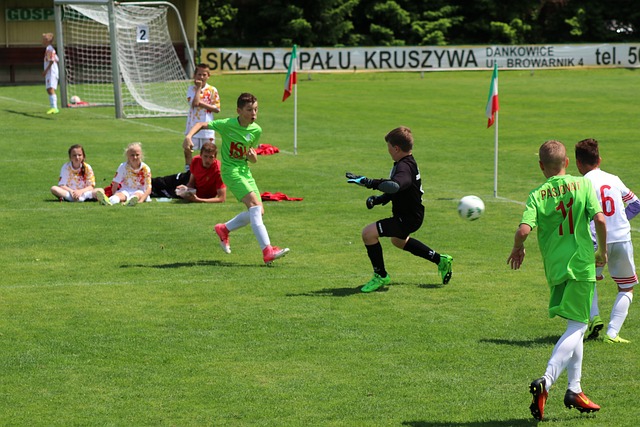 为了提升居 为了提升居