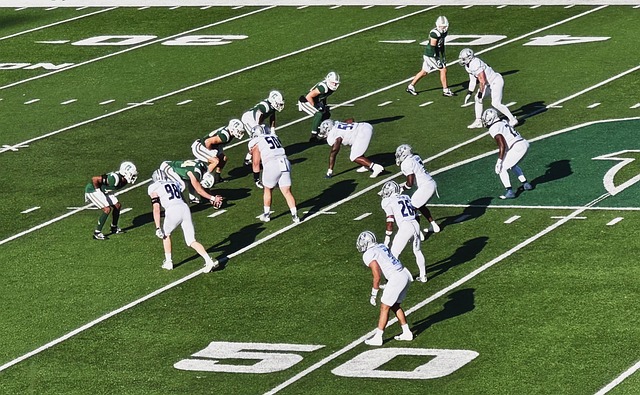 岁月或许无 岁月或许无