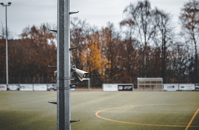 阵容和发展 阵容和发展