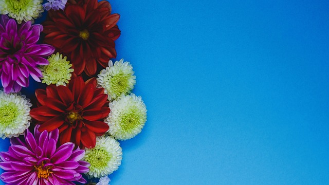 陷入被動 陷入被動