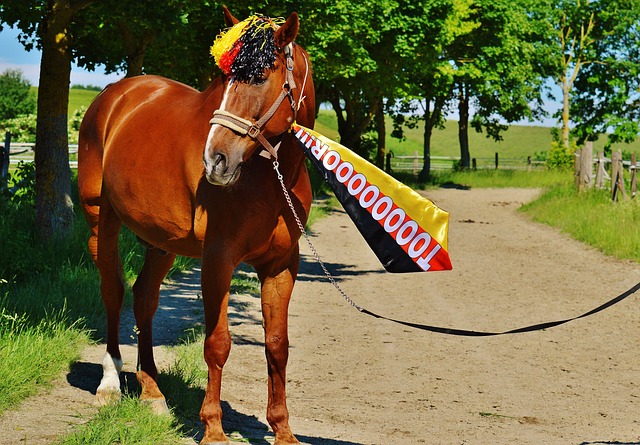 总的来说 总的来说